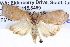  ( - BIOUG05073-G04)  @13 [ ] CreativeCommons - Attribution (2013) CBG Photography Group Centre for Biodiversity Genomics