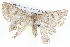 ( - BIOUG05074-C07)  @14 [ ] CreativeCommons - Attribution (2013) CBG Photography Group Centre for Biodiversity Genomics