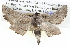  ( - BIOUG05074-D04)  @14 [ ] CreativeCommons - Attribution (2013) CBG Photography Group Centre for Biodiversity Genomics