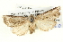  ( - BIOUG05074-E05)  @13 [ ] CreativeCommons - Attribution (2013) CBG Photography Group Centre for Biodiversity Genomics