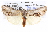  ( - BIOUG05074-E07)  @14 [ ] CreativeCommons - Attribution (2013) CBG Photography Group Centre for Biodiversity Genomics
