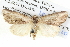  ( - BIOUG05074-E09)  @13 [ ] CreativeCommons - Attribution (2013) CBG Photography Group Centre for Biodiversity Genomics
