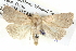  ( - BIOUG05074-F05)  @14 [ ] CreativeCommons - Attribution (2013) CBG Photography Group Centre for Biodiversity Genomics