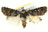  ( - BIOUG05054-B01)  @14 [ ] CreativeCommons - Attribution (2013) CBG Photography Group Centre for Biodiversity Genomics