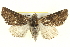  ( - BIOUG05054-B09)  @15 [ ] CreativeCommons - Attribution (2013) CBG Photography Group Centre for Biodiversity Genomics