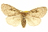  ( - BIOUG05055-F06)  @13 [ ] CreativeCommons - Attribution (2013) CBG Photography Group Centre for Biodiversity Genomics