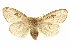  ( - BIOUG05055-F07)  @14 [ ] CreativeCommons - Attribution (2013) CBG Photography Group Centre for Biodiversity Genomics