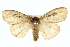  ( - BIOUG05055-F08)  @14 [ ] CreativeCommons - Attribution (2013) CBG Photography Group Centre for Biodiversity Genomics
