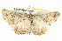  ( - BIOUG05055-H01)  @12 [ ] CreativeCommons - Attribution (2013) CBG Photography Group Centre for Biodiversity Genomics