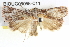  ( - BIOUG05056-C11)  @14 [ ] CreativeCommons - Attribution (2013) CBG Photography Group Centre for Biodiversity Genomics
