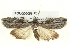  ( - BIOUG05056-F01)  @14 [ ] CreativeCommons - Attribution (2013) CBG Photography Group Centre for Biodiversity Genomics
