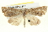  ( - BIOUG05056-H11)  @13 [ ] CreativeCommons - Attribution (2013) CBG Photography Group Centre for Biodiversity Genomics