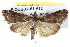  ( - BIOUG05161-A12)  @14 [ ] CreativeCommons - Attribution (2013) CBG Photography Group Centre for Biodiversity Genomics