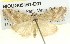  ( - BIOUG05161-D01)  @14 [ ] CreativeCommons - Attribution (2013) CBG Photography Group Centre for Biodiversity Genomics