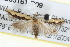  ( - BIOUG05161-D09)  @13 [ ] CreativeCommons - Attribution (2013) CBG Photography Group Centre for Biodiversity Genomics