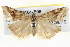 ( - BIOUG05161-E08)  @14 [ ] CreativeCommons - Attribution (2013) CBG Photography Group Centre for Biodiversity Genomics