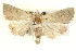  ( - BIOUG05161-H09)  @14 [ ] CreativeCommons - Attribution (2013) CBG Photography Group Centre for Biodiversity Genomics