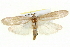  ( - BIOUG05162-A07)  @14 [ ] CreativeCommons - Attribution (2013) CBG Photography Group Centre for Biodiversity Genomics