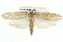  ( - BIOUG05162-A11)  @14 [ ] CreativeCommons - Attribution (2013) CBG Photography Group Centre for Biodiversity Genomics