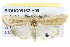  ( - BIOUG05162-H09)  @14 [ ] CreativeCommons - Attribution (2013) CBG Photography Group Centre for Biodiversity Genomics