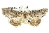  ( - BIOUG05163-B04)  @13 [ ] CreativeCommons - Attribution (2013) CBG Photography Group Centre for Biodiversity Genomics