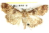  ( - BIOUG05163-E05)  @13 [ ] CreativeCommons - Attribution (2013) CBG Photography Group Centre for Biodiversity Genomics