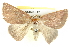  ( - BIOUG05163-E12)  @14 [ ] CreativeCommons - Attribution (2013) CBG Photography Group Centre for Biodiversity Genomics