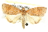  ( - BIOUG05164-A08)  @14 [ ] CreativeCommons - Attribution (2013) CBG Photography Group Centre for Biodiversity Genomics