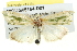  ( - BIOUG05164-D01)  @14 [ ] CreativeCommons - Attribution (2013) CBG Photography Group Centre for Biodiversity Genomics