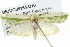  ( - BIOUG05164-D10)  @14 [ ] CreativeCommons - Attribution (2013) CBG Photography Group Centre for Biodiversity Genomics
