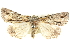  ( - BIOUG05164-E01)  @15 [ ] CreativeCommons - Attribution (2013) CBG Photography Group Centre for Biodiversity Genomics