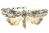  ( - BIOUG05164-H03)  @14 [ ] CreativeCommons - Attribution (2013) CBG Photography Group Centre for Biodiversity Genomics
