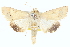  ( - BIOUG05165-D09)  @13 [ ] CreativeCommons - Attribution (2013) CBG Photography Group Centre for Biodiversity Genomics