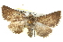  ( - BIOUG05165-E07)  @11 [ ] CreativeCommons - Attribution (2013) CBG Photography Group Centre for Biodiversity Genomics