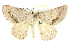  ( - BIOUG05165-H03)  @14 [ ] CreativeCommons - Attribution (2013) CBG Photography Group Centre for Biodiversity Genomics
