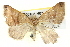  ( - BIOUG05165-H07)  @15 [ ] CreativeCommons - Attribution (2013) CBG Photography Group Centre for Biodiversity Genomics