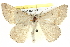  ( - BIOUG05165-H11)  @14 [ ] CreativeCommons - Attribution (2013) CBG Photography Group Centre for Biodiversity Genomics