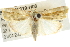  ( - BIOUG05319-H08)  @14 [ ] CreativeCommons - Attribution (2013) CBG Photography Group Centre for Biodiversity Genomics