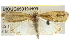  ( - BIOUG05319-H09)  @14 [ ] CreativeCommons - Attribution (2013) CBG Photography Group Centre for Biodiversity Genomics