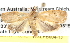  ( - BIOUG08826-A04)  @13 [ ] CreativeCommons - Attribution (2013) CBG Photography Group Centre for Biodiversity Genomics