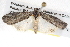  ( - BIOUG08826-B12)  @13 [ ] CreativeCommons - Attribution (2013) CBG Photography Group Centre for Biodiversity Genomics