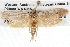  ( - BIOUG08826-E02)  @12 [ ] CreativeCommons - Attribution (2013) CBG Photography Group Centre for Biodiversity Genomics