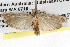  ( - BIOUG08826-E06)  @13 [ ] CreativeCommons - Attribution (2013) CBG Photography Group Centre for Biodiversity Genomics