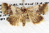  ( - BIOUG08826-E08)  @13 [ ] CreativeCommons - Attribution (2013) CBG Photography Group Centre for Biodiversity Genomics