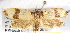  ( - BIOUG08826-F04)  @14 [ ] CreativeCommons - Attribution (2013) CBG Photography Group Centre for Biodiversity Genomics