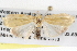  ( - BIOUG08826-F10)  @14 [ ] CreativeCommons - Attribution (2013) CBG Photography Group Centre for Biodiversity Genomics