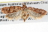  ( - BIOUG08826-G03)  @12 [ ] CreativeCommons - Attribution (2013) CBG Photography Group Centre for Biodiversity Genomics