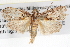  ( - BIOUG08826-G04)  @14 [ ] CreativeCommons - Attribution (2013) CBG Photography Group Centre for Biodiversity Genomics