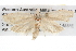  ( - BIOUG08827-A03)  @12 [ ] CreativeCommons - Attribution (2013) CBG Photography Group Centre for Biodiversity Genomics