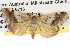  ( - BIOUG08827-A05)  @13 [ ] CreativeCommons - Attribution (2013) CBG Photography Group Centre for Biodiversity Genomics